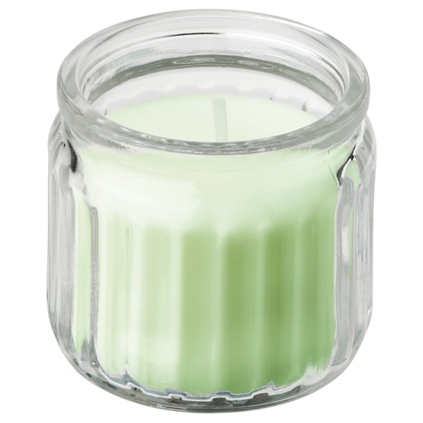 LÖVSKOGSLUND شمعة معطرة في كأس, تفاح/أخضر فاتح, 12 س