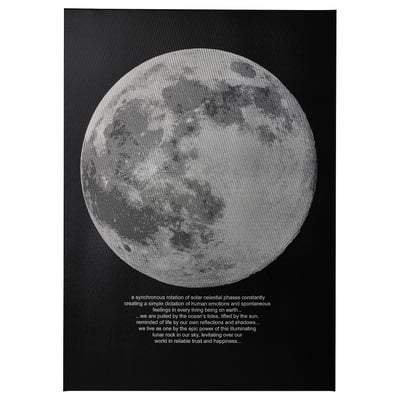 PJÄTTERYD صورة, ضوء القمر, ‎50x70 سم‏