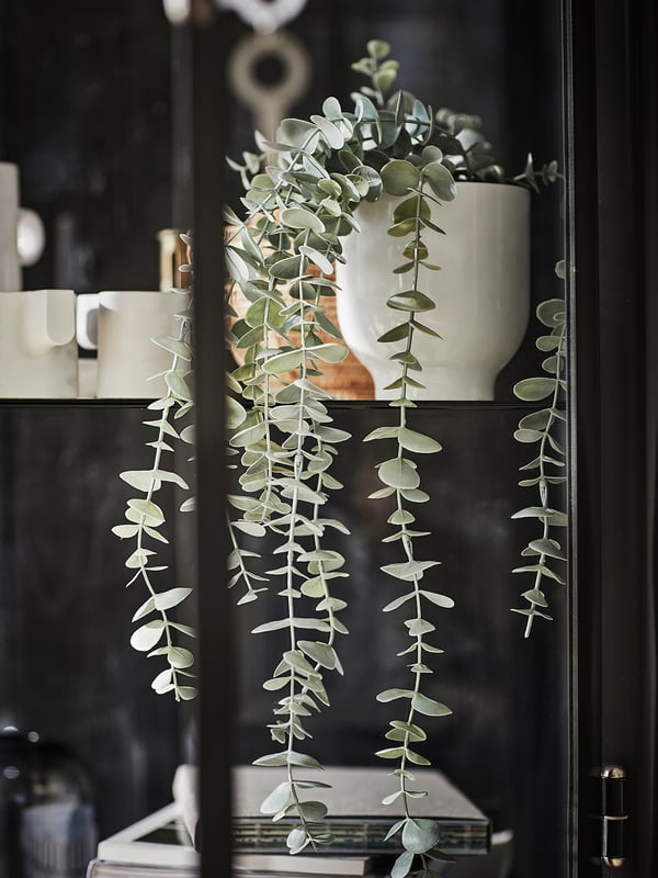 Black shelf with white FEJKA plant, green leaves cascading.
