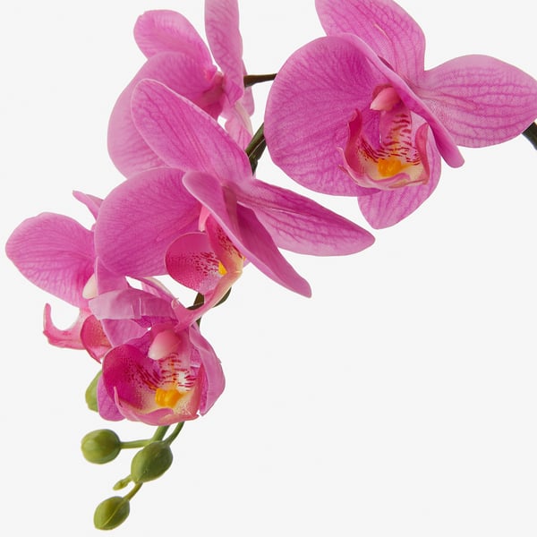 Artificial pink orchids, vibrant, lifelike quality.