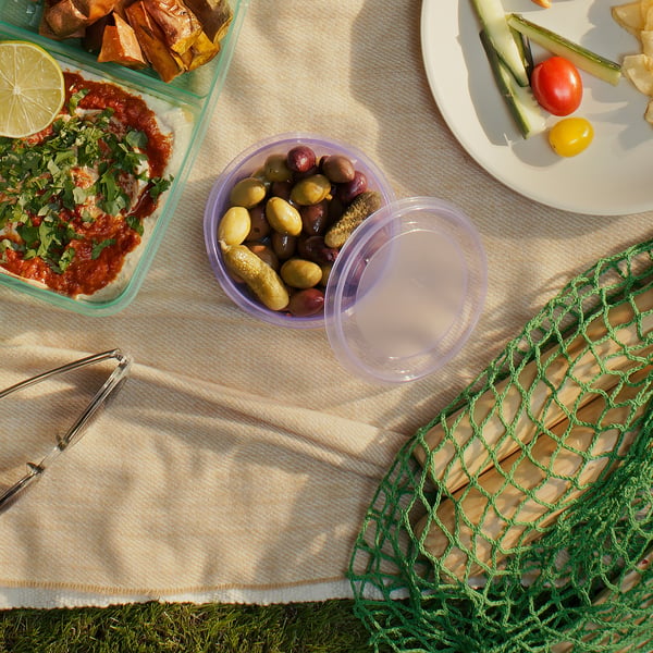 Picnic spread on blanket with olive mix, dip, and veggies.
