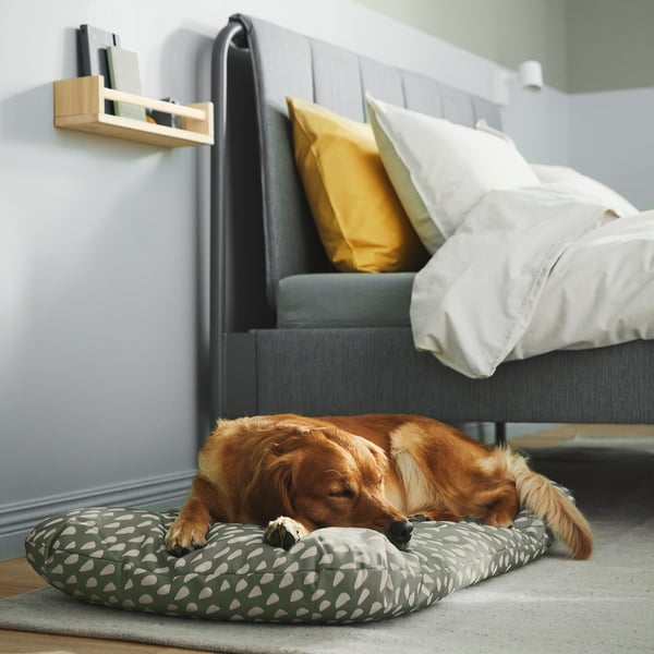 A dog sleeps on a cushioned bed under a bed frame, with pillows and a shelf above.
