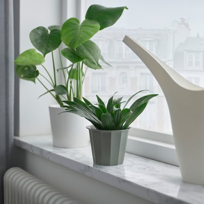 Kleine grüne Pflanzen in weißen und silbernen Töpfen auf einem Marmorfensterbrett mit Blick auf die Stadt.