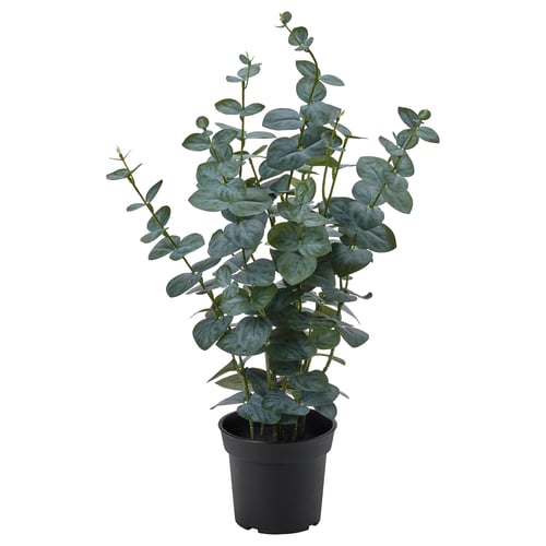 FEJKA Topfpflanze, künstlich, drinnen/draußen Eukalyptus, 15 cm