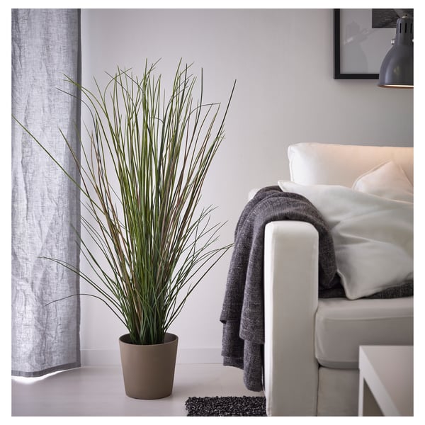Modernes Wohnzimmer mit grüner Pflanze, weißer Couch, grauer Decke, schwarzem Vorhang.