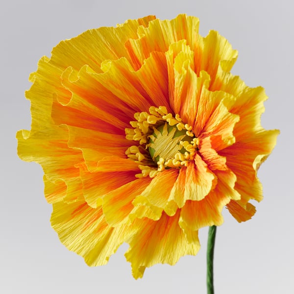GULDSPETT Kunstblume, Papier/Mohn orange, 40 cm