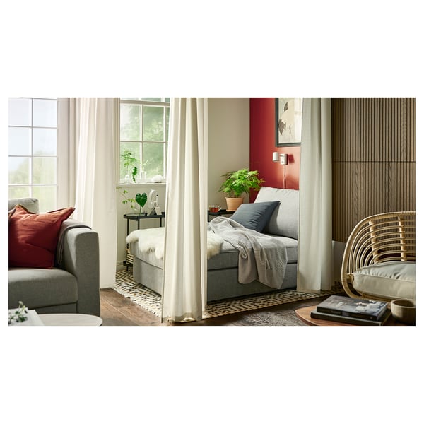 Moderne Wohn-/Schlafzimmerkombination: graues Sofa, rote Kissen, Pflanzen, Bücher, Holzboden.
