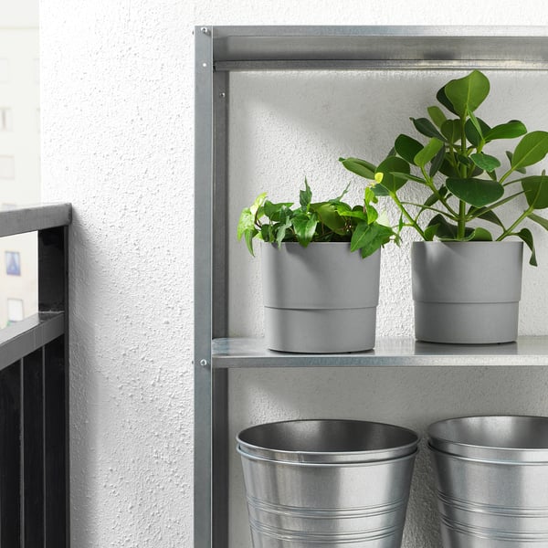 Zwei grüne Pflanzen in grauen Plastiktöpfen auf einem Metallregal, die den Einsatz im Innen- und Außenbereich zeigen.
