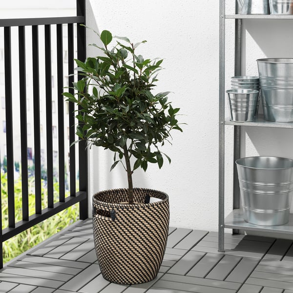 Kleiner Balkon mit einer Topfpflanze in einem braunen und beigen geflochtenen Korb mit Griffen. Daneben ein Metallregal mit Metalltöpfen.