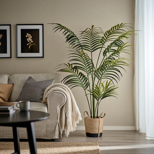 TÄRNMÅS Übertopf, innen/beige/schwarz, 24 cm