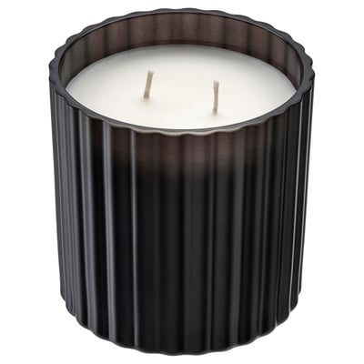 TOFSTÄRNA Duftkerze im Glas, 2 Dochte, Sandelholz & Patschuli schwarz, 50 Std.