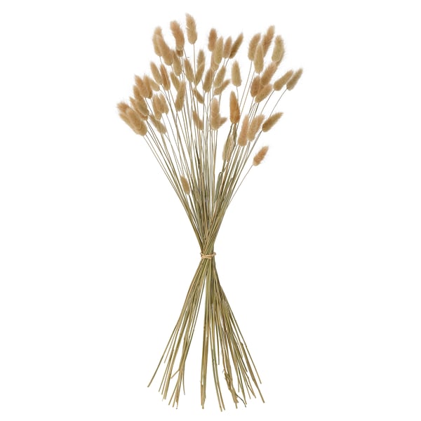 TORKA Getrocknete Pflanzen, Bund/natur, 60 cm