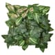 Artificial wall plants