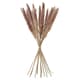 Dried flowers