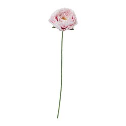GULDSPETT Artificial flower, paper/Peony white/light pink, 50 cm