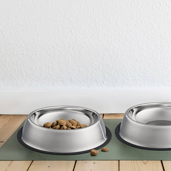Two stainless steel dog bowls on a green mat, one filled with dog food.