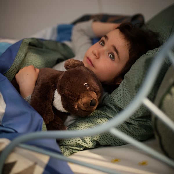 ALPTALL Soft toy, Asiatic black bear cub, 27 cm