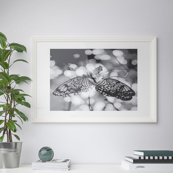 Framed photo on wall, showcasing butterfly. Plant and decor below.