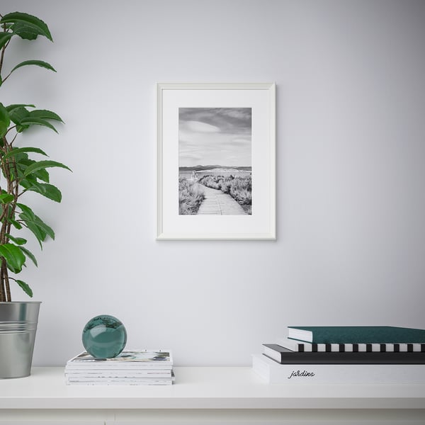 Minimalist room with KNOPPÄNG frame, plant, books, magazines.