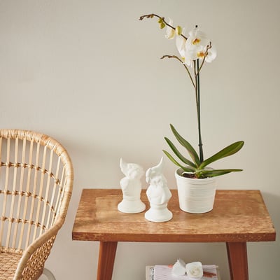 A potted white orchid on a wooden table with two ceramic bunnies and a wicker chair beside it.