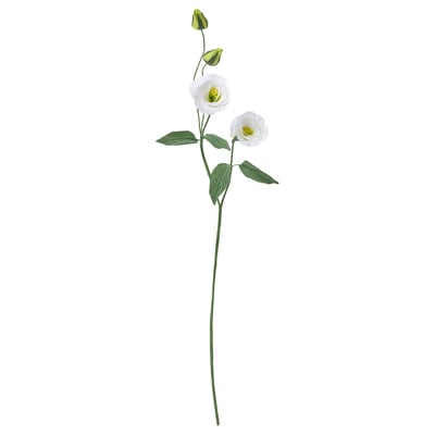 GULDSPETT Artificial flower, paper/lisianthus white, 55 cm