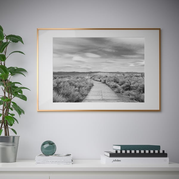 Black & white nature print on wall, books, green ornament, plant.