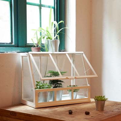 Petite serre sur un rebord de fenêtre avec plusieurs plantes en pot à l’intérieur et une à l’extérieur, avec une façade ouvrante pour un accès et un entretien faciles.