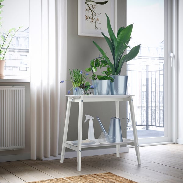 Plante blanche ALPVIDE près de la fenêtre avec de grandes plantes d’intérieur, un petit plateau, un arrosoir et un vaporisateur.