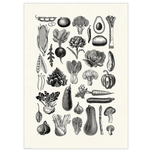 Affiche en noir et blanc présentant divers fruits et légumes dans une illustration détaillée au trait.