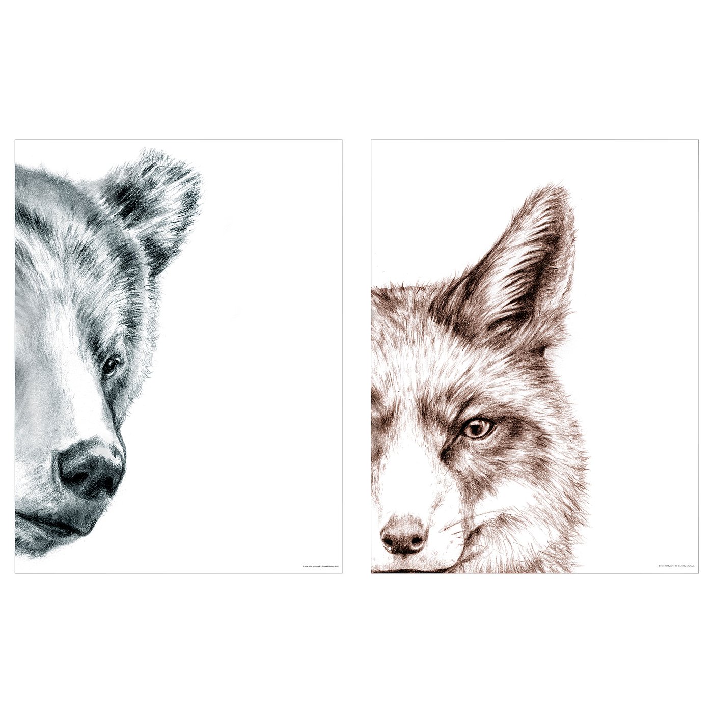 Deux dessins détaillés de loups, l’un en bleu et l’autre en marron, légèrement orientés vers la gauche sur fond blanc.
