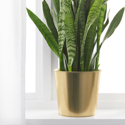Jardinière dorée avec plante verte ; ajoute du décor, durable, se mélange bien avec d’autres.