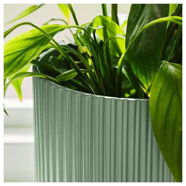 Le vase à rainures verticales contient une plante verte luxuriante, un design élégant.
