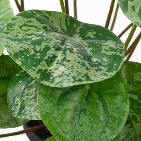 Gros plan de feuilles de plantes artificielles vibrantes et réalistes, montrant une texture et une couleur réalistes.