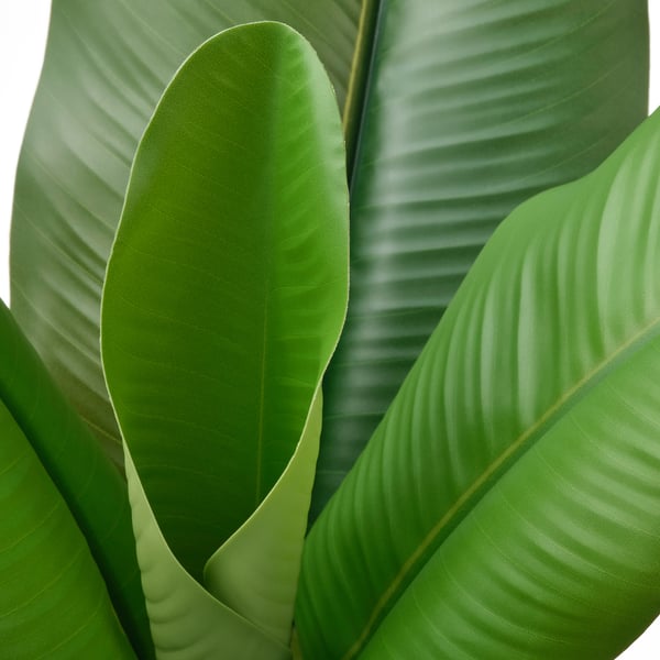 De grandes feuilles de bananier vertes, vives et détaillées, disposées en un motif superposé, mettant en valeur une apparence réaliste de haute qualité.