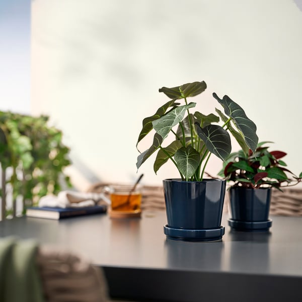 Deux plantes artificielles FEJKA en pot sur la table avec livre et verre.
