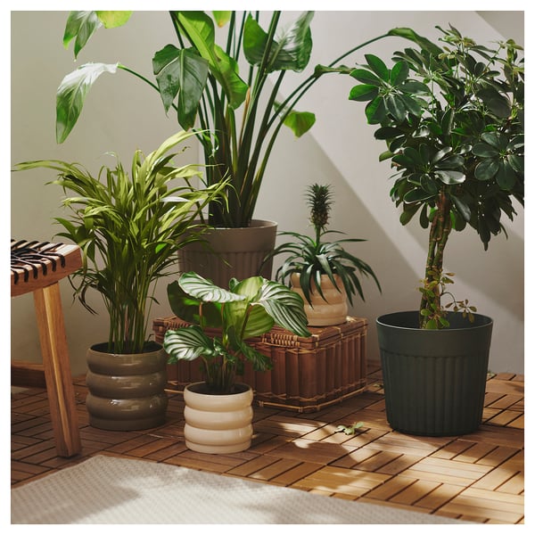 FRÄKENVÄXT Cache-pot, intérieur/extérieur/vert profond, 24 cm