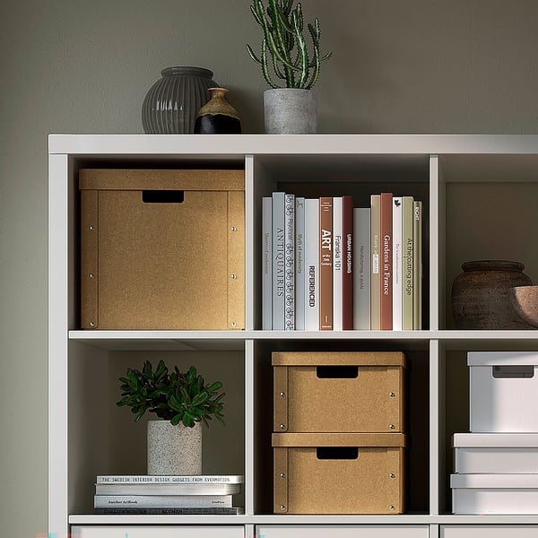 Bibliothèque avec boîtes de rangement et plantes.