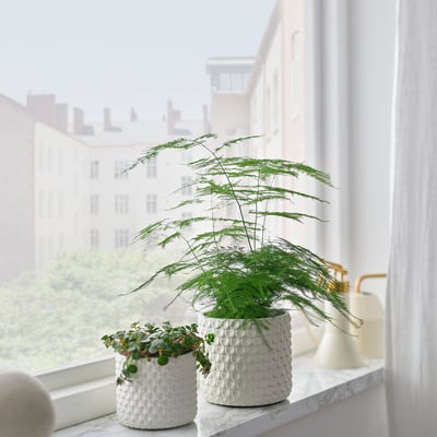 GLACIÄRBJÖRN Cache-pot, blanc, 12 cm