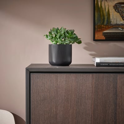 Vase nervuré noir avec plante verte sur meuble sombre.