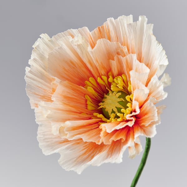 GULDSPETT Fleur artificielle, papier/coquelicot orange clair, 40 cm