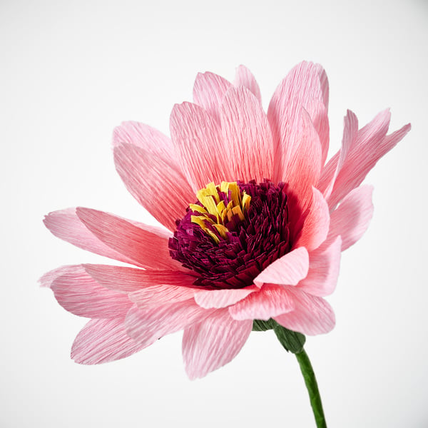 GULDSPETT Fleur artificielle, papier/Échinacée rose, 50 cm