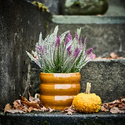 HASSELBUKETT Cache-pot, intérieur/extérieur/brun-jaune, 12 cm