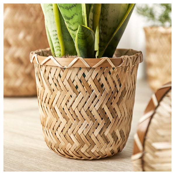 Panier de plantes en osier tissé à la main avec plante serpent vert. Design naturel, rustique, léger, durable.