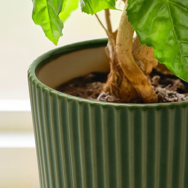 Poterie à nervures vertes avec une plante robuste et saine ; fait preuve d’artisanat et de qualité.
