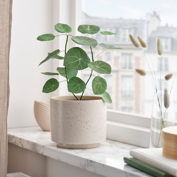 SMÅTÄRNA Plante artificielle, papier/Stephania, 12 cm