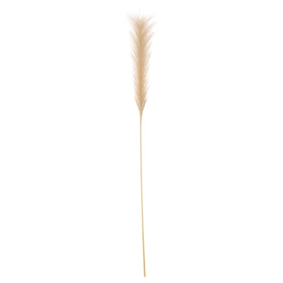 Plante de graminée de la pampa beige, série SMYCKA, plumes plumeuses, matériaux recyclés