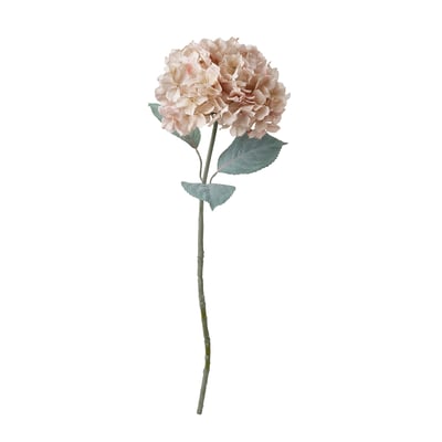 SMYCKA Fleur artificielle, intérieur/extérieur hydrangea/beige clair, 75 cm