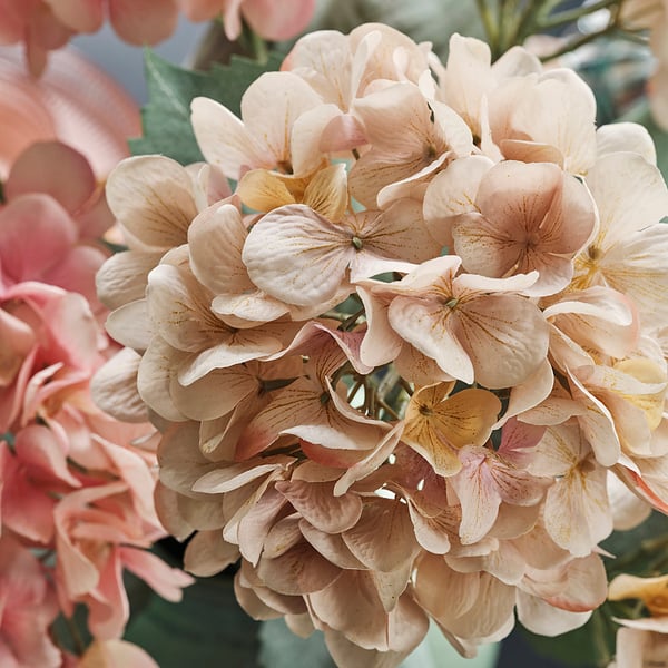 SMYCKA Fleur artificielle, intérieur/extérieur hydrangea/beige clair, 60 cm