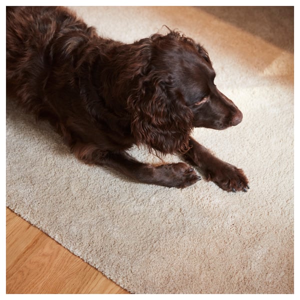 Un chien de couleur chocolat est allongé sur un tapis rectangulaire beige avec un poil épais et doux sur un plancher en bois.