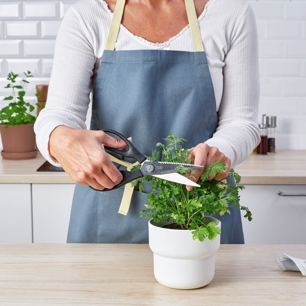 Une personne en tablier utilise des ciseaux de cuisine SVARTFISK pour couper des herbes vertes d’une plante en pot sur un comptoir.